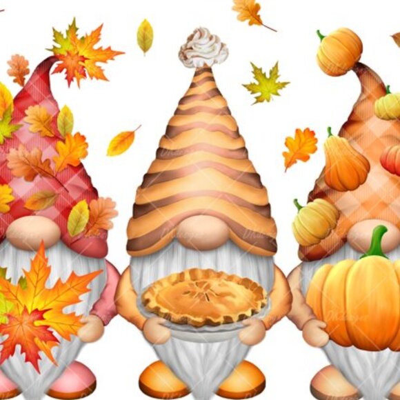 Open to Offers - Doesn't hurt to Ask - Picture 2 of 16